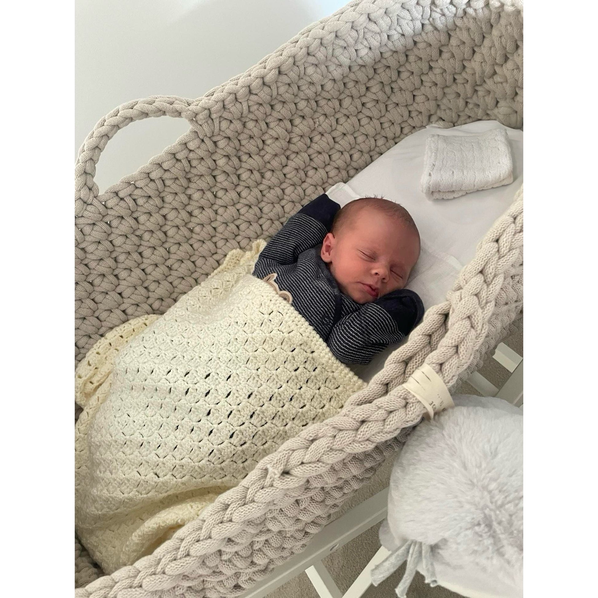 Newborn in beige moses basket